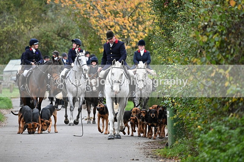 WJ6_8300 - Walk Home..