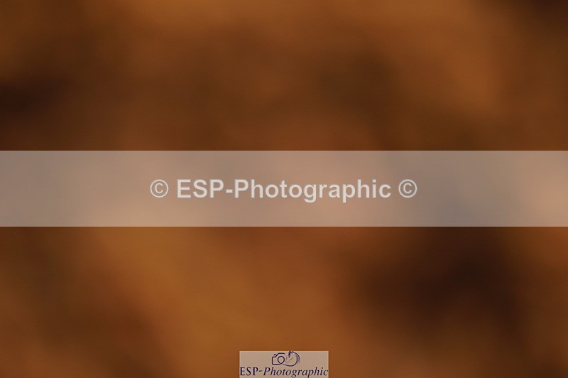 240628A-194538-01112 - Cls 4 1.10m Open