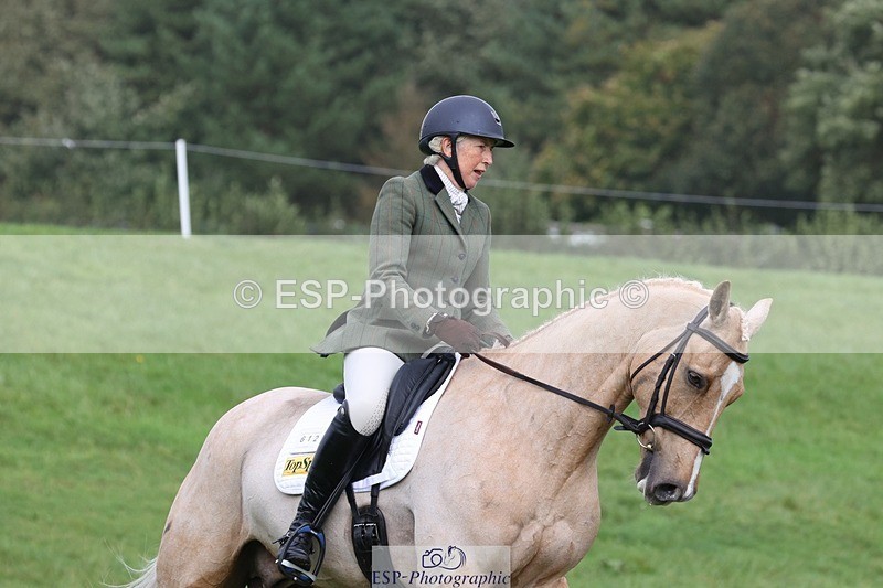 231019-111028-02578 - 612-CORRIEVIEW.MERLIN.MAGIC-Jane.Rogers-DR