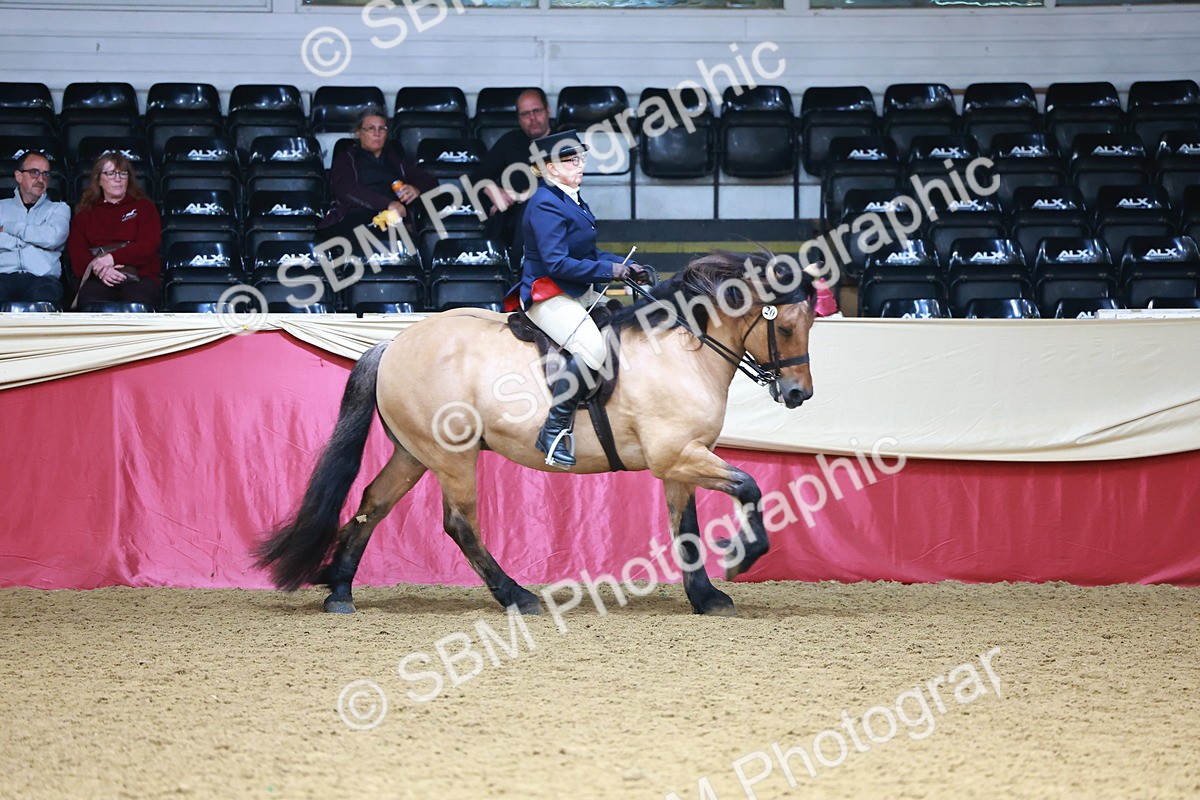 SBM_23786 - Class 905 - Supreme Final - Ridden Veteran
