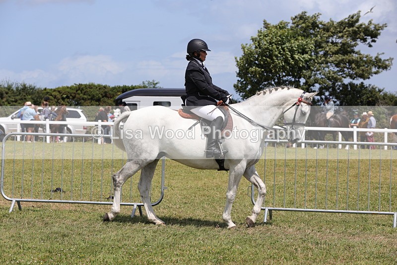 1X9A4254 - Class 34: Veteran Ridden