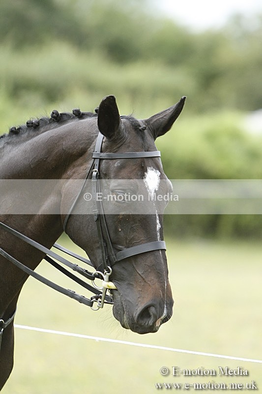 BVR160717-2219 - Ring 3 BVRC Show 16/07/17