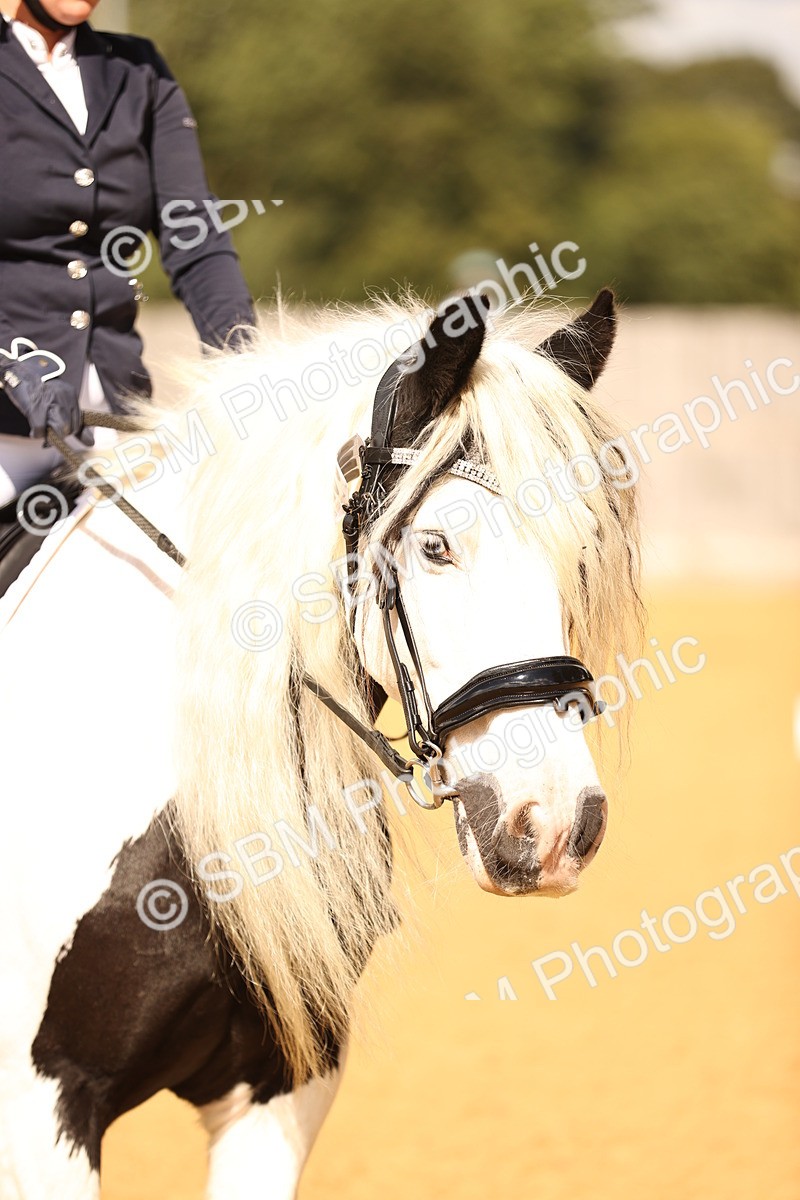 SBM_08603 - D30 Small Tour PYO Open