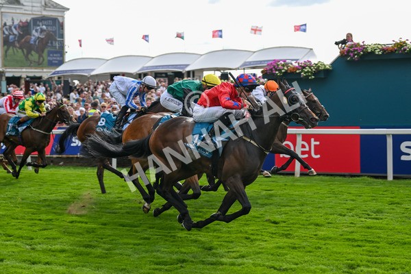 260725-Race 7-Chesneys Charm-7964 - Race 7 5.00pm Sky Bet Extra Places Every Day Handicap