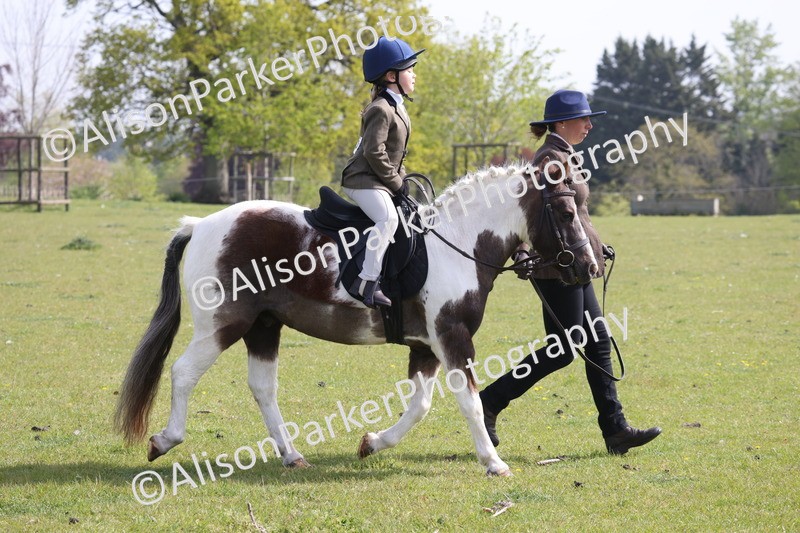 20260426-0600 - Class 31 - Leading Rein