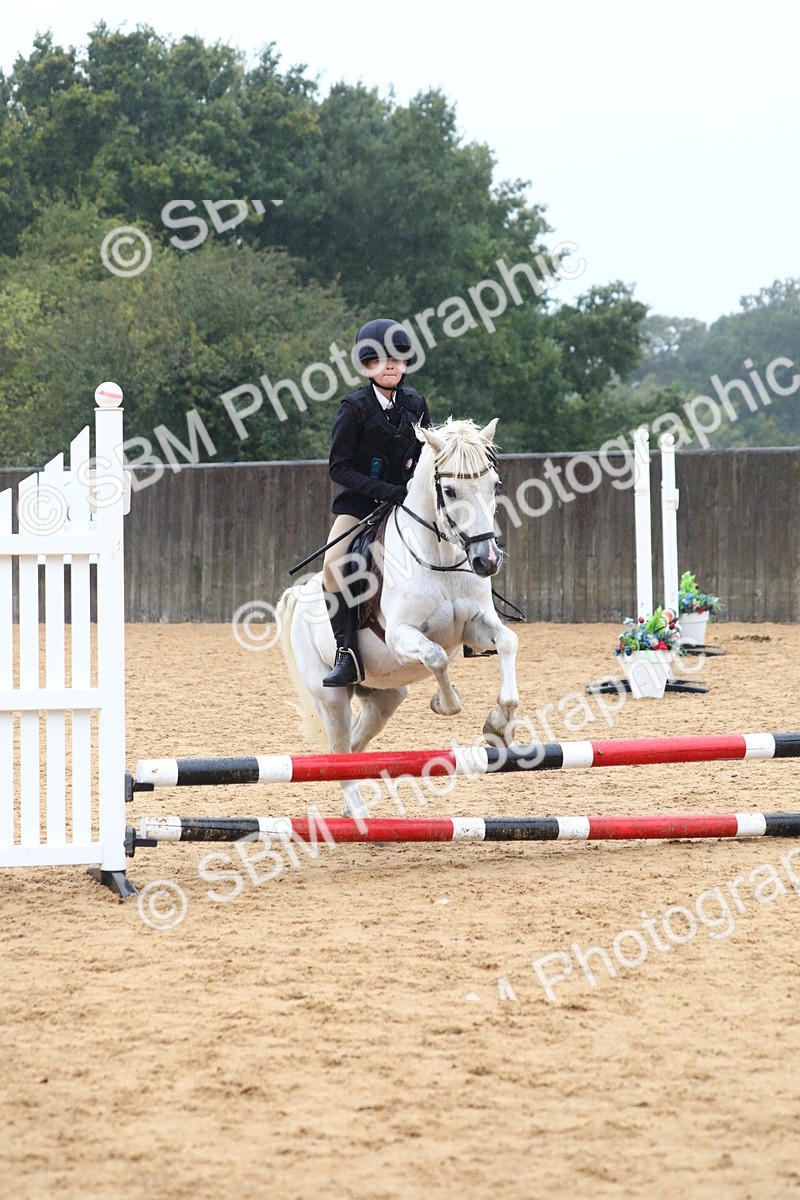 SBM_71686 - J4 - Mini Tour Junior Pony 45cm Championship