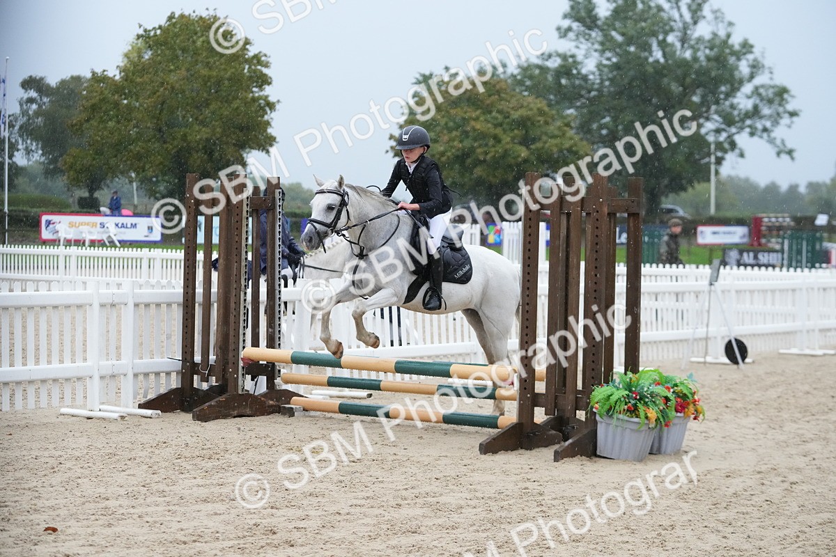 SBM_36150 - J5 - Junior Pony 50cm Championship