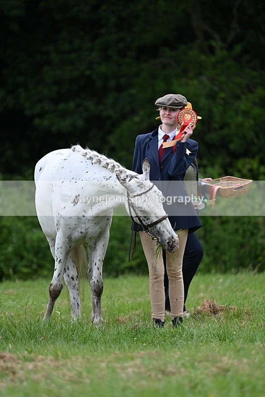 WJ7_4523 - Class 14B Prettiest Mare