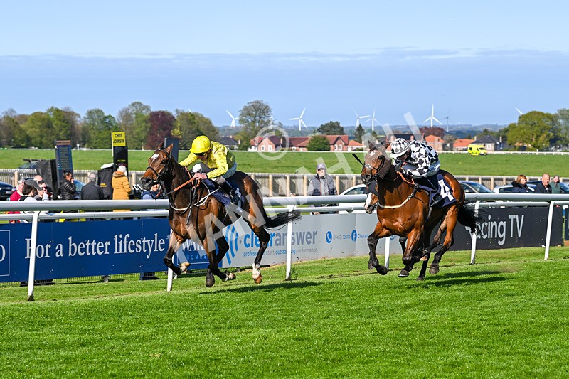 240425-Race 7-Mister Daydream-1800 - Race 7