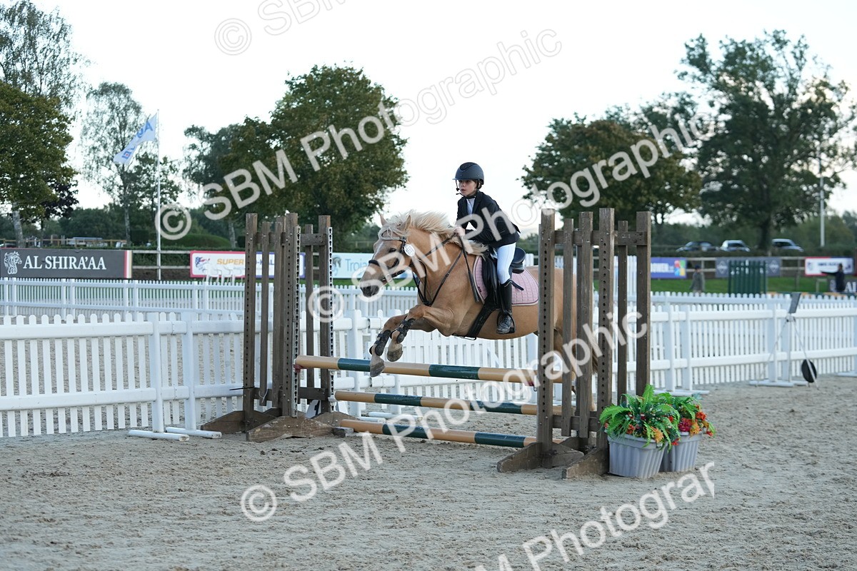 SBM_54203 - Supreme Championship 60cm 65cm