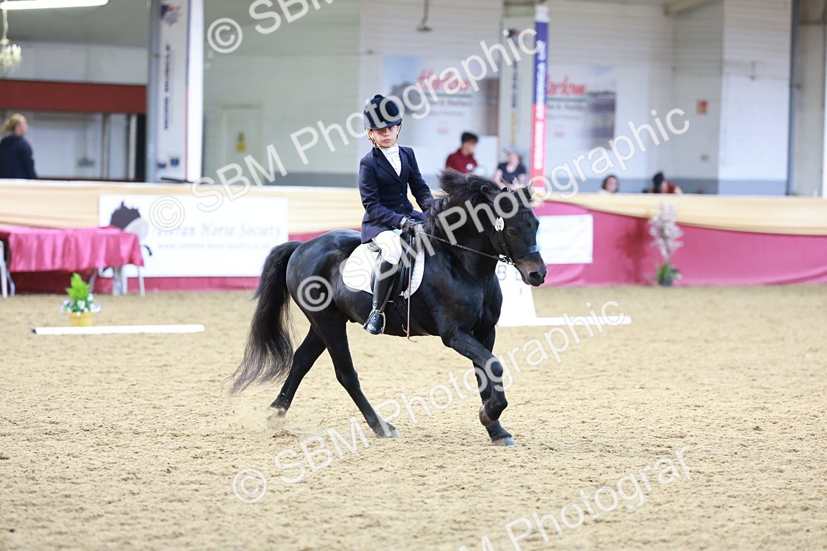 SBM_09204 - Class 61 - Dressage to Music