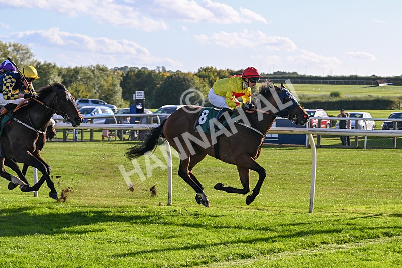300926-Race 5-Vince Le Prince-6760 - Race 5 4.15pm Bet At racingtv.com Handicap (Div II)