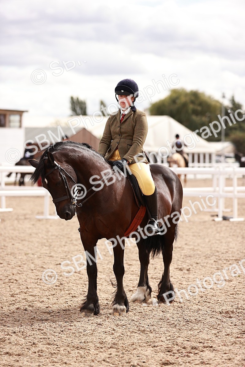 SBM_18395 - Class 418 - Best Condition - Jnr