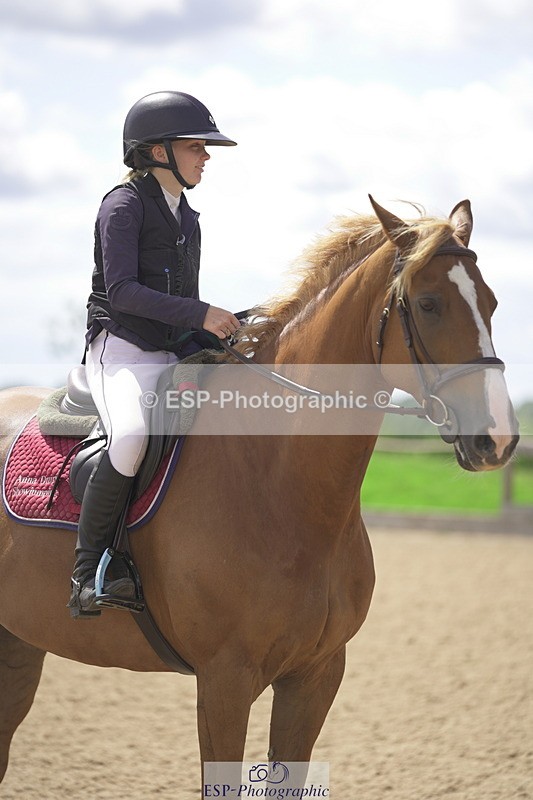 230806A-134200-02203 - Cls 14 Snr Foxhunter & 1.20m Open