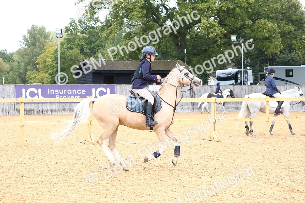 SBM_60035 - J63 - Junior Pony 50cm Championship