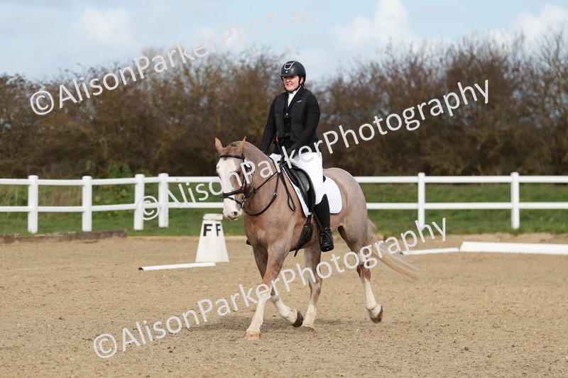 20260314-2773 - DR3 - Prelim 1