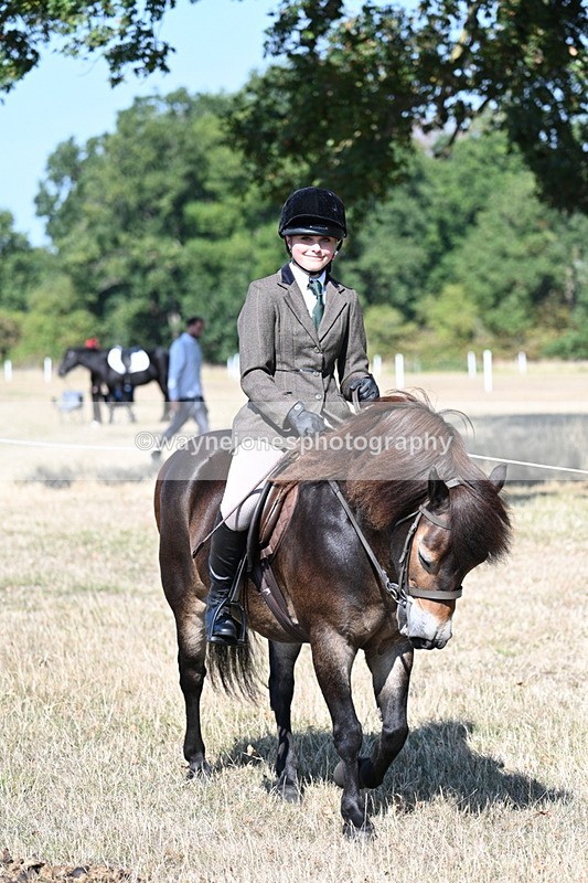 WJ7_3550 - Class 9 Mountain & Moorland Ridden