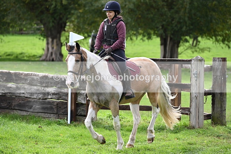 WJ6_3413 - Time 12:03 to 12:37