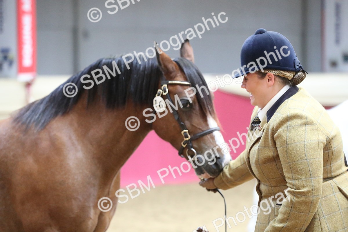 SBM_06415 - Class 9R Regional- IH Pre Vet