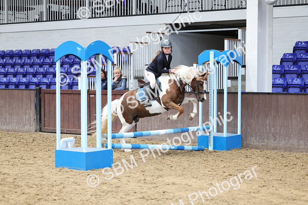 SBM_007683 - Class 3 - 60cm showjumping