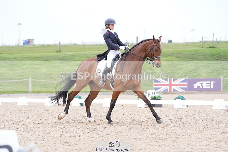 250403-161824-03279 - 028-Elizabeth.Allen-Heraldik