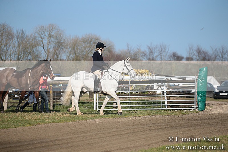 PtP 230219 377 - Vine & Craven Point-To-Point - Barbury 23/02/19