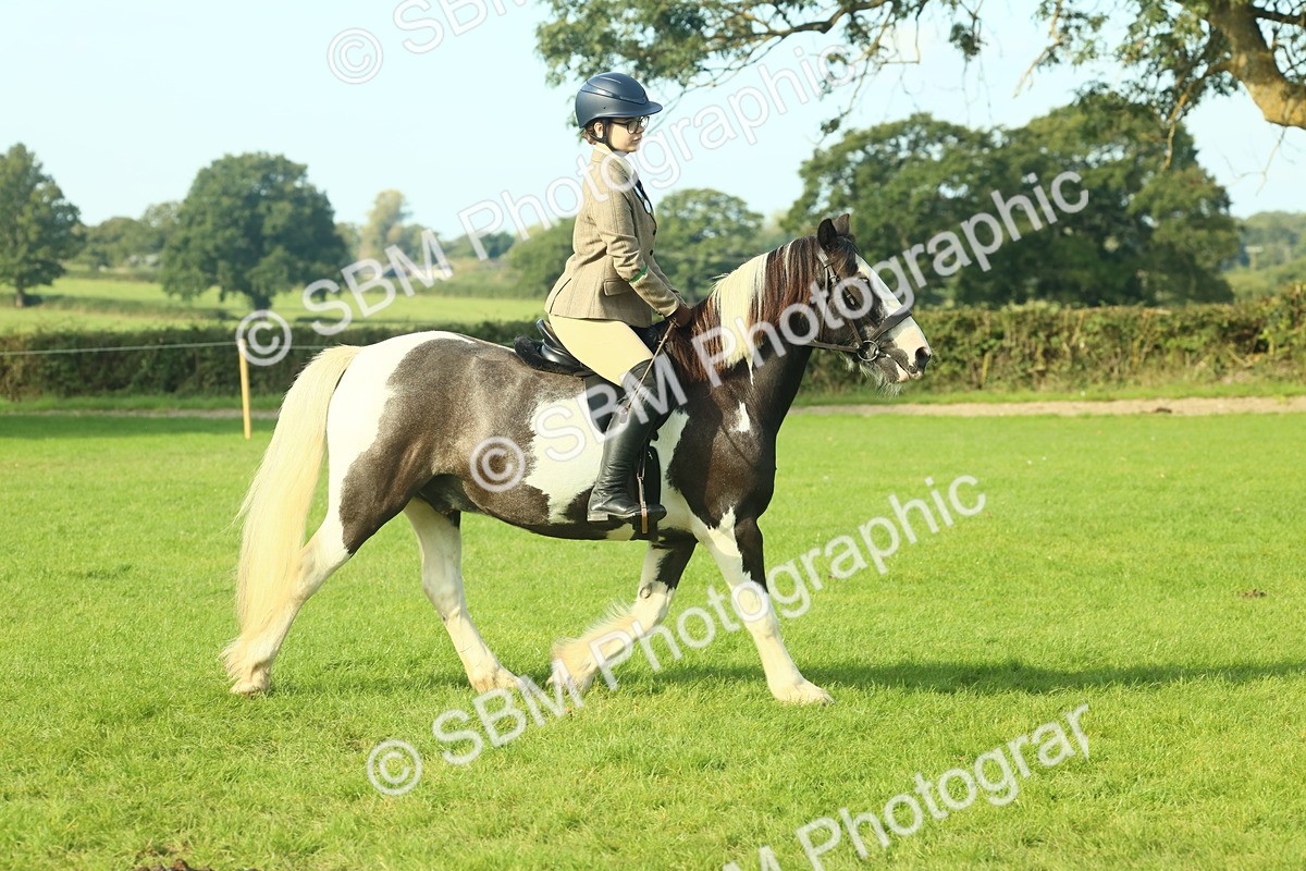 SBM_59820 - S38 - Starters Ridden Showing