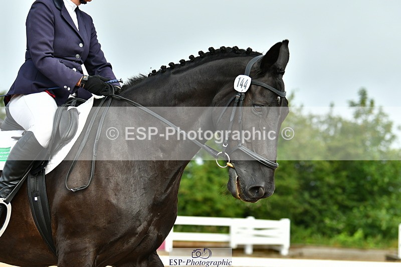 230708A-092903-02107 - Prelim 13