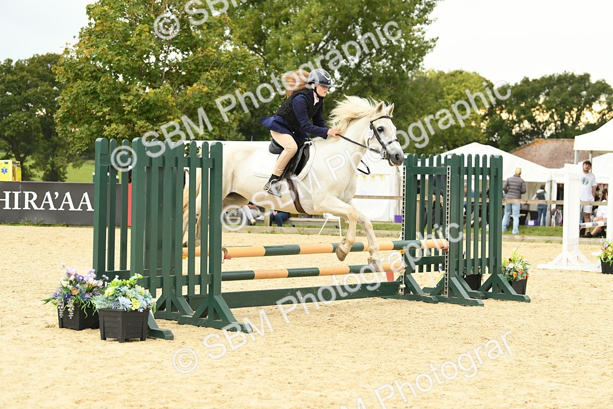 SBM_73161 - J16 - Junior Pony 75cm Championship
