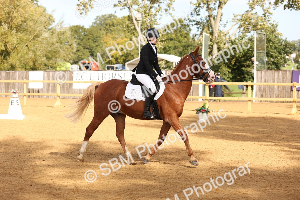 SBM_03533 - D1 - Small Tour Championship Intro 1