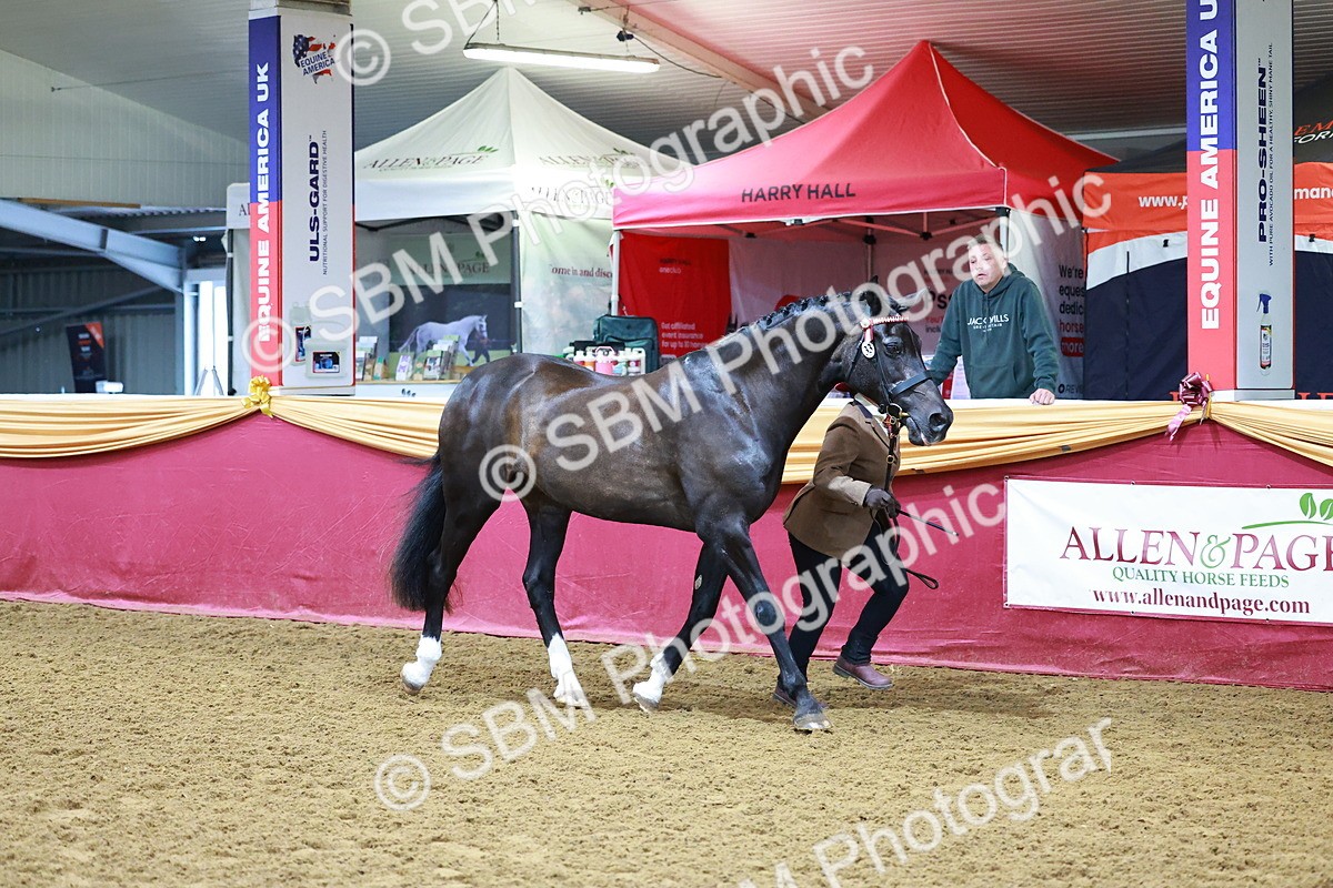 SBM_15988 - Class 901 - Sup Final - IH Diamond