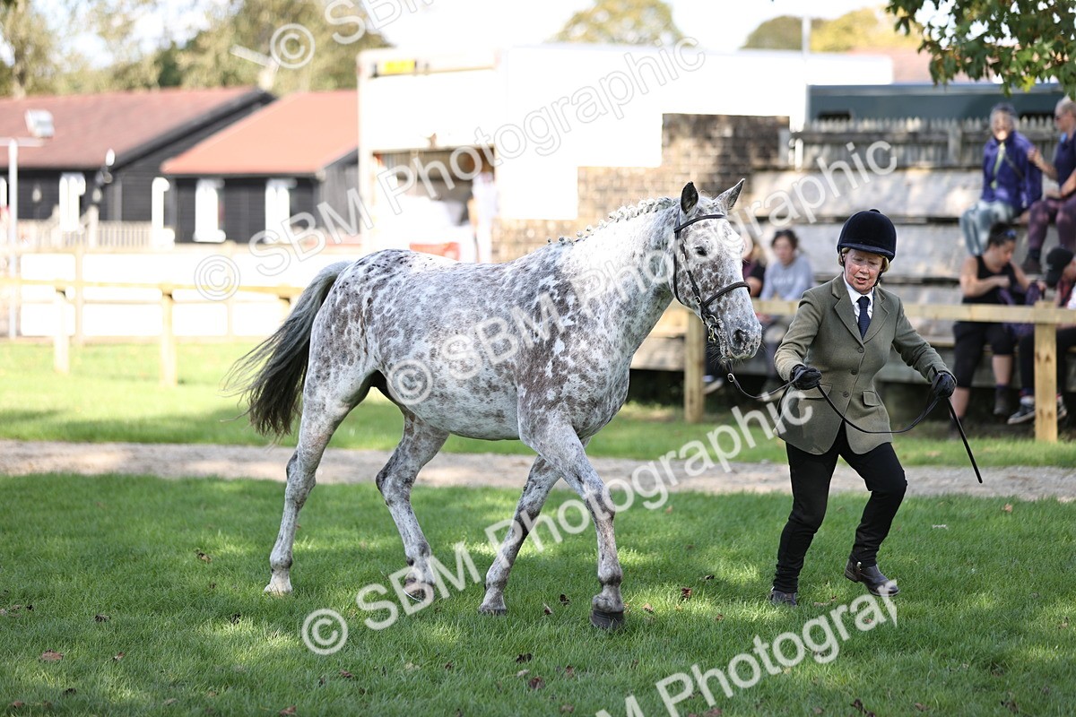 SBM_26240 - S5 - Novice & Newcomers In Hand