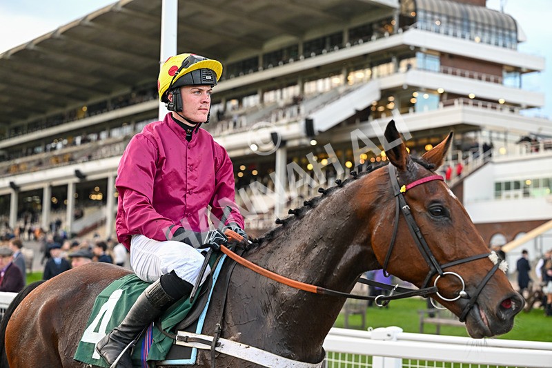 241025-Race 7-Ideal Des Bordes-6173 - Race 7