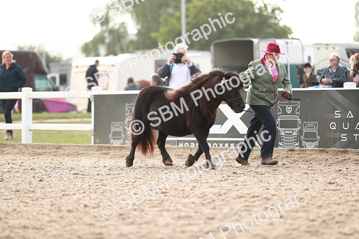 SBM_11777 - Class 206 IH Non Show Type Pony