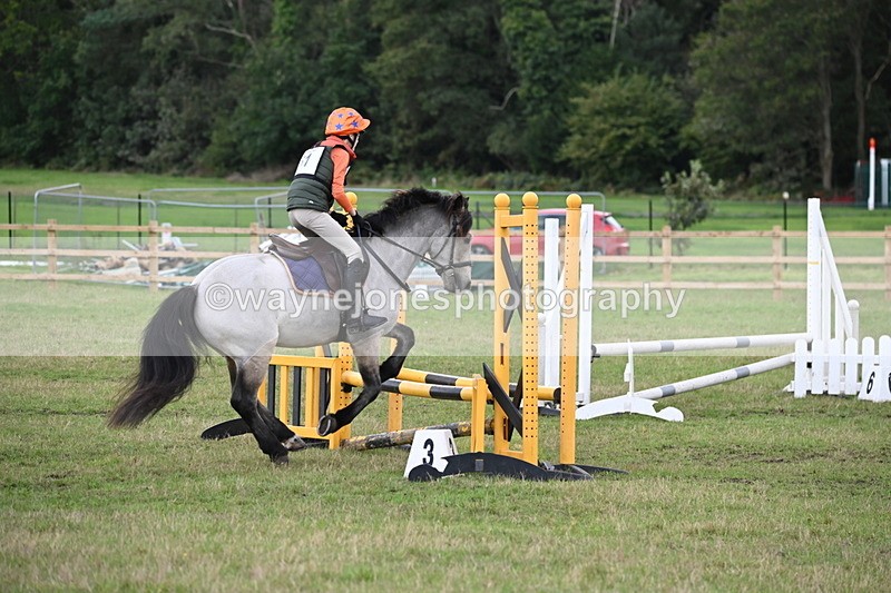 WJ6_1596 - 60cm Time 12:11 to 12:28