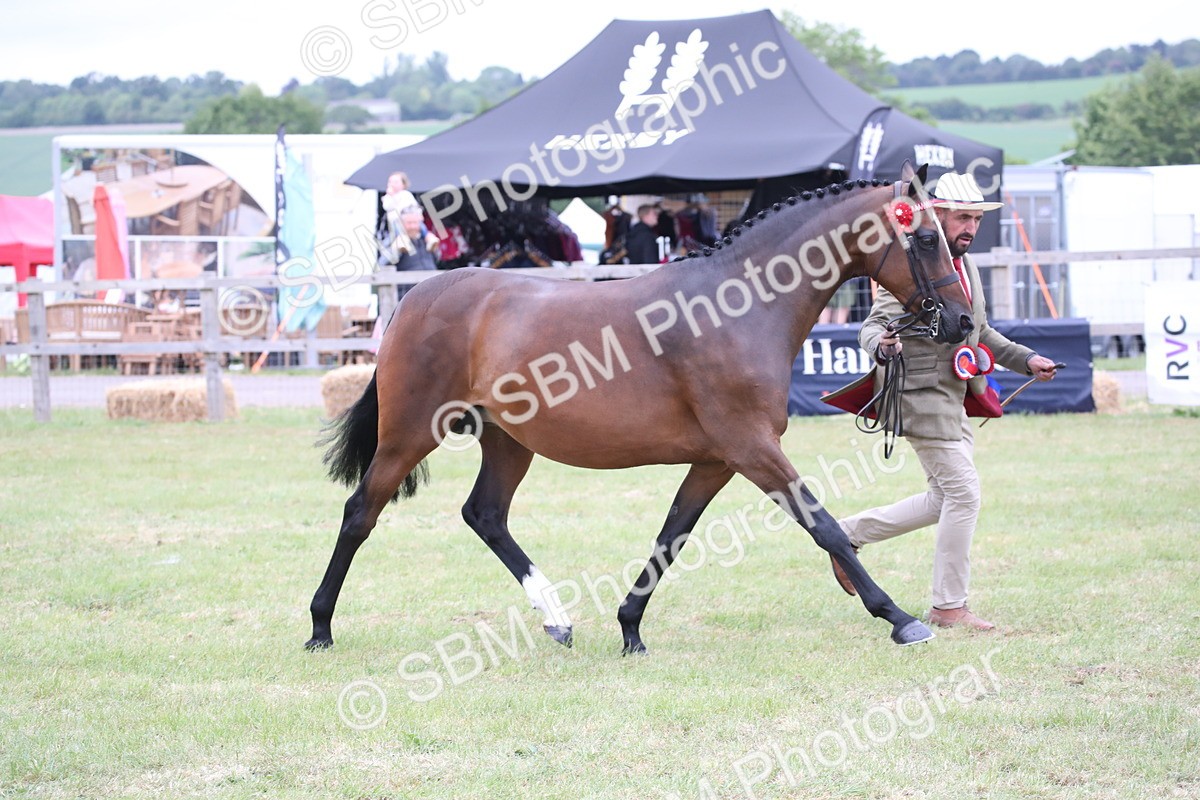 SBM_09847 - Ch 50 - Price Family Supreme In Hand