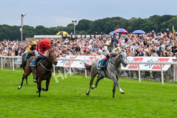 270724-Race 4-Greydreambeliever-7249 - Race 4 4.00pm Sky Bet Club EBF Fillies' Novice Stakes