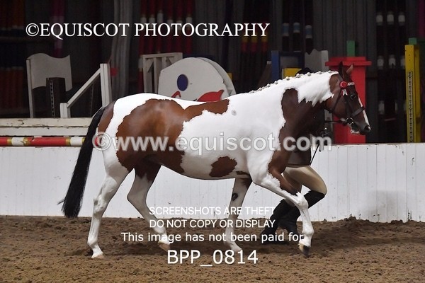 BPP_0814 - RING 2