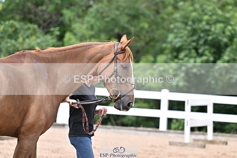 250716-134913-00674 - Trot Up 1.30 to 2.30