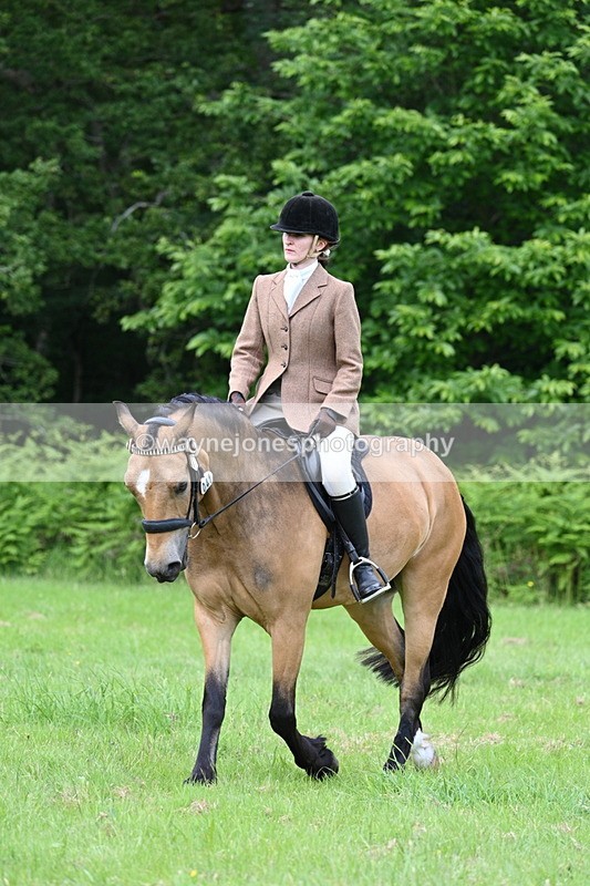 WJ7_2571 - Class 12A Coloured Class