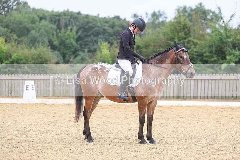 3E7A5413 - Class 2: Intro 4 2024 section B