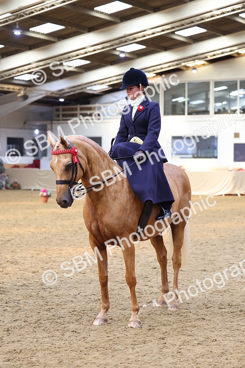 SBM_24458 - Class 906 - Supreme Final - Ridden Pre Vet