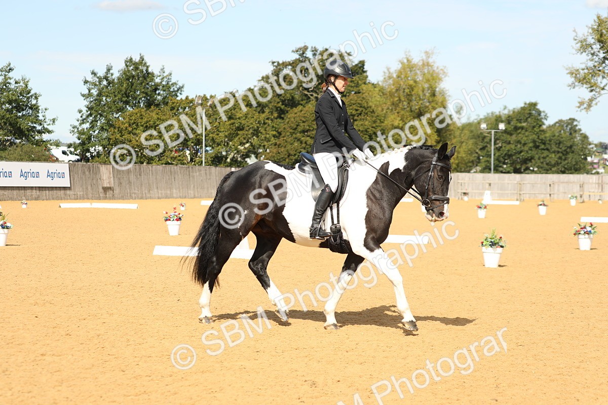 SBM_22162 - D17 - Grand Tour Championship - Novice 27