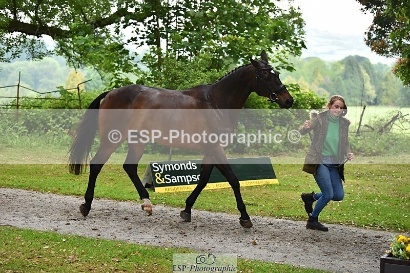 240522-164400-01118 - 218-DALI_III-Natasha_Bailey