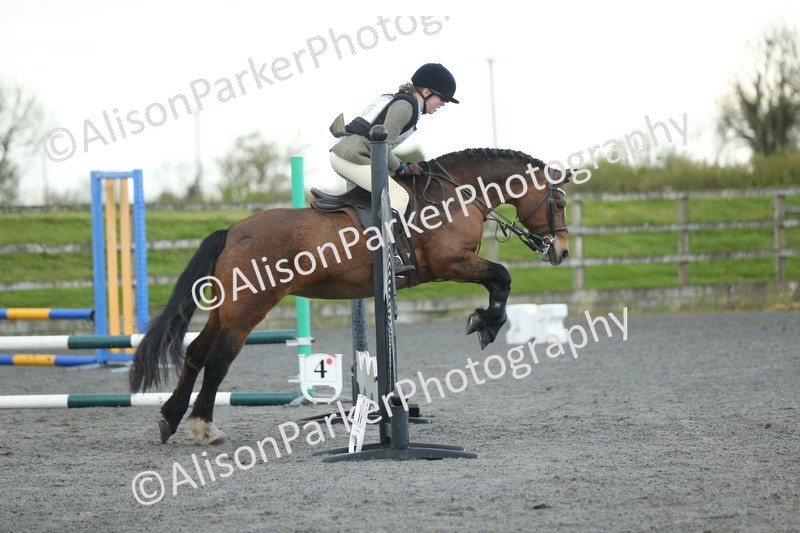 20260412-1914 - Show Jumping