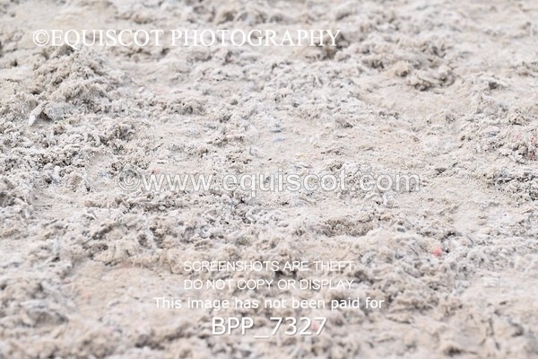 BPP_7327 - RING 1  (RIDDEN HORSES / IN HAND / VETERAN ETC)