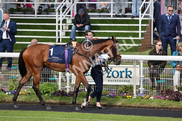 yr13052022r7-5 - Race 7 5.15pm Longines Irish Champions Weekend Stakes