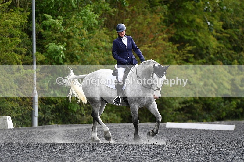 WJ5_2242 - Time 15:05 to 15:30