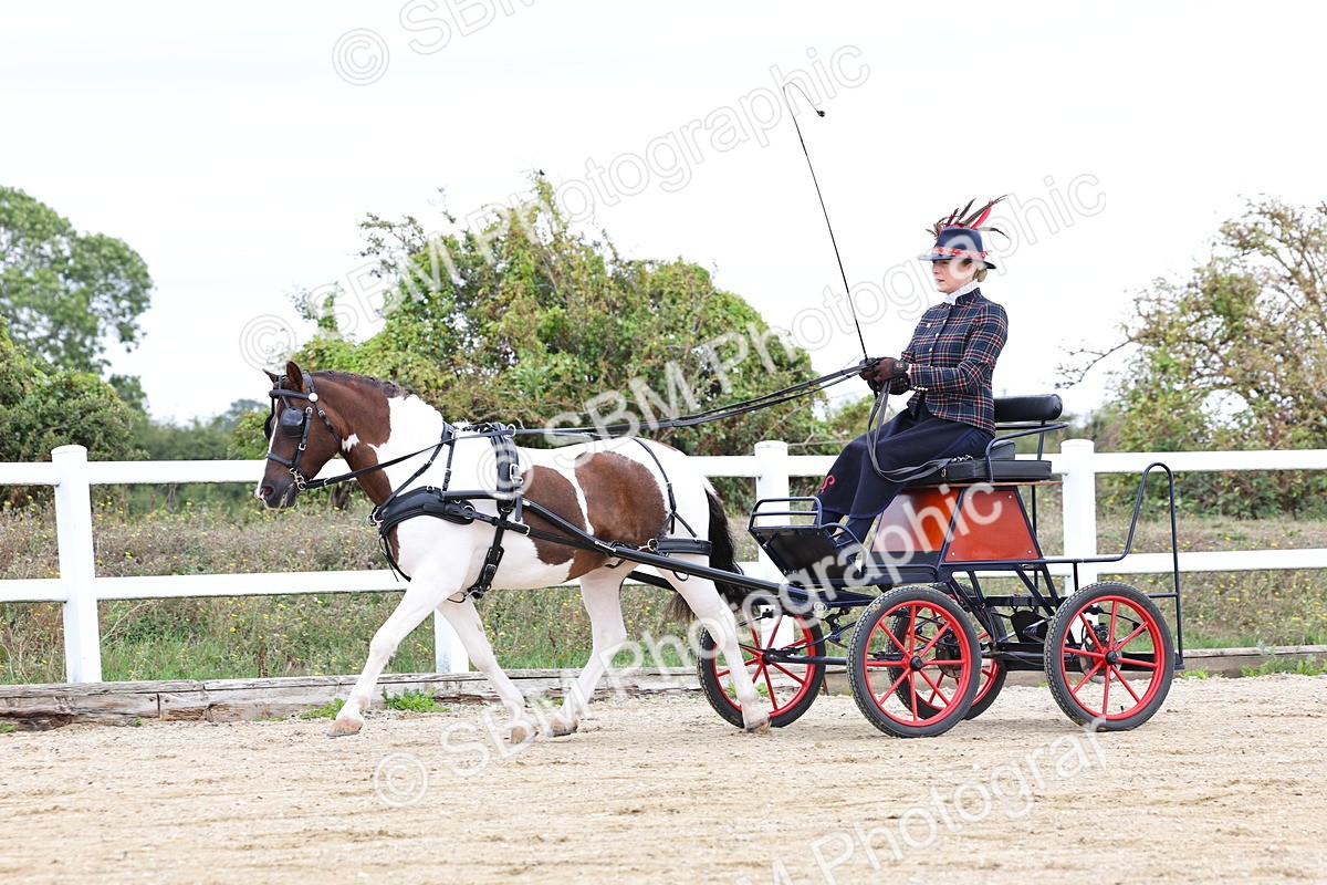 SBM_000323 - Class 2 - Exercise Vehicle 13.2hh & Under