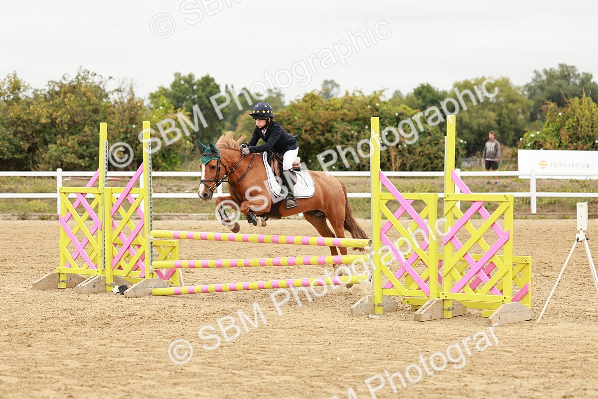 SBM_008272 - Class 5 - 80cm